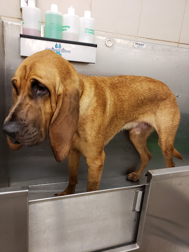 Pet Supply Store «Pet Supplies Plus», reviews and photos, 2600 McFarland Blvd E U, Tuscaloosa, AL 35405, USA