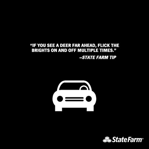 Auto Insurance Agency «State Farm: Jeff Wieden», reviews and photos