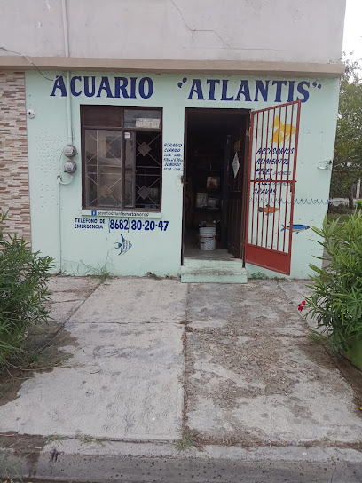 Acuario Atlantis