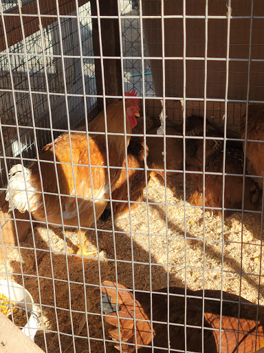 Animal Feed Store «Farmers Feed & Pet Supply», reviews and photos, 1302 E Miner Ave, Stockton, CA 95205, USA