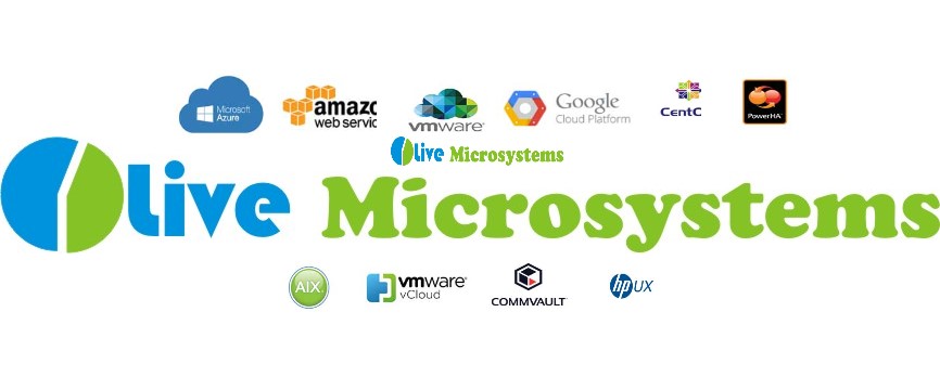 Olive Microsystems