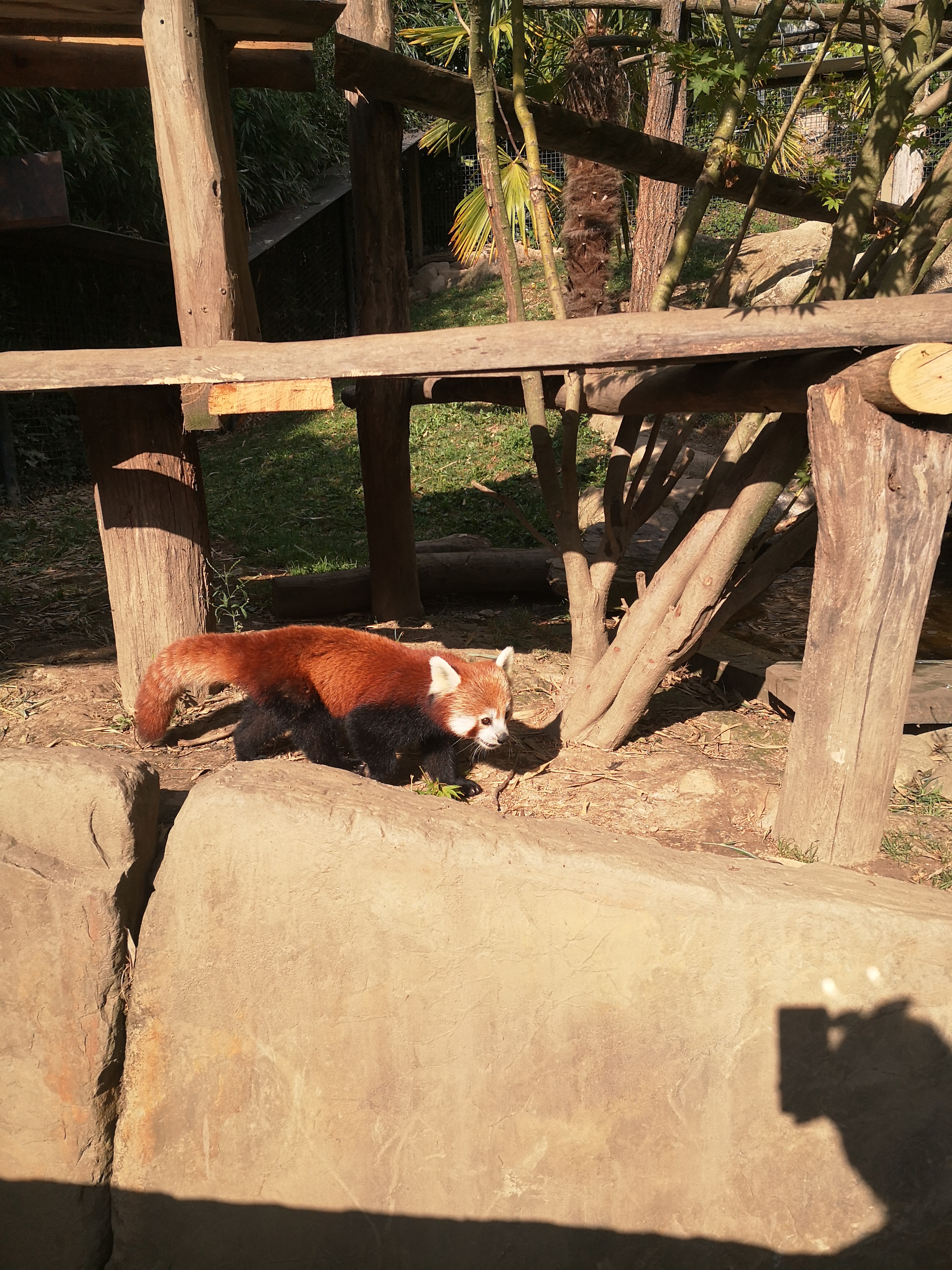 Photo n° 34 de l'avis de Xxx.x fait le 14/08/2020 à 21:01