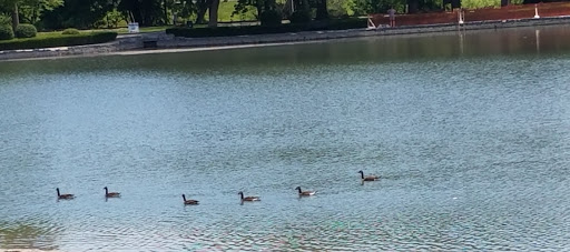 Museum «Washington County Museum of Fine Arts», reviews and photos, 401 Museum Dr, Hagerstown, MD 21741, USA