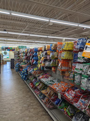 Dollar Store «Dollar Tree», reviews and photos, 6539 Annapolis Rd, Landover Hills, MD 20784, USA