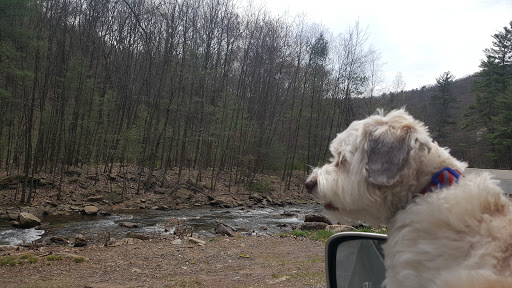 Park «Lykens Glen Park», reviews and photos, 706 Park View Rd, Lykens, PA 17048, USA