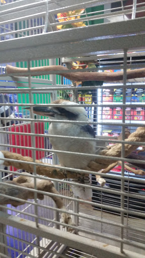 Pet Store «Zoo Creatures Pet Store», reviews and photos, 149 Plaistow Rd, Plaistow, NH 03865, USA