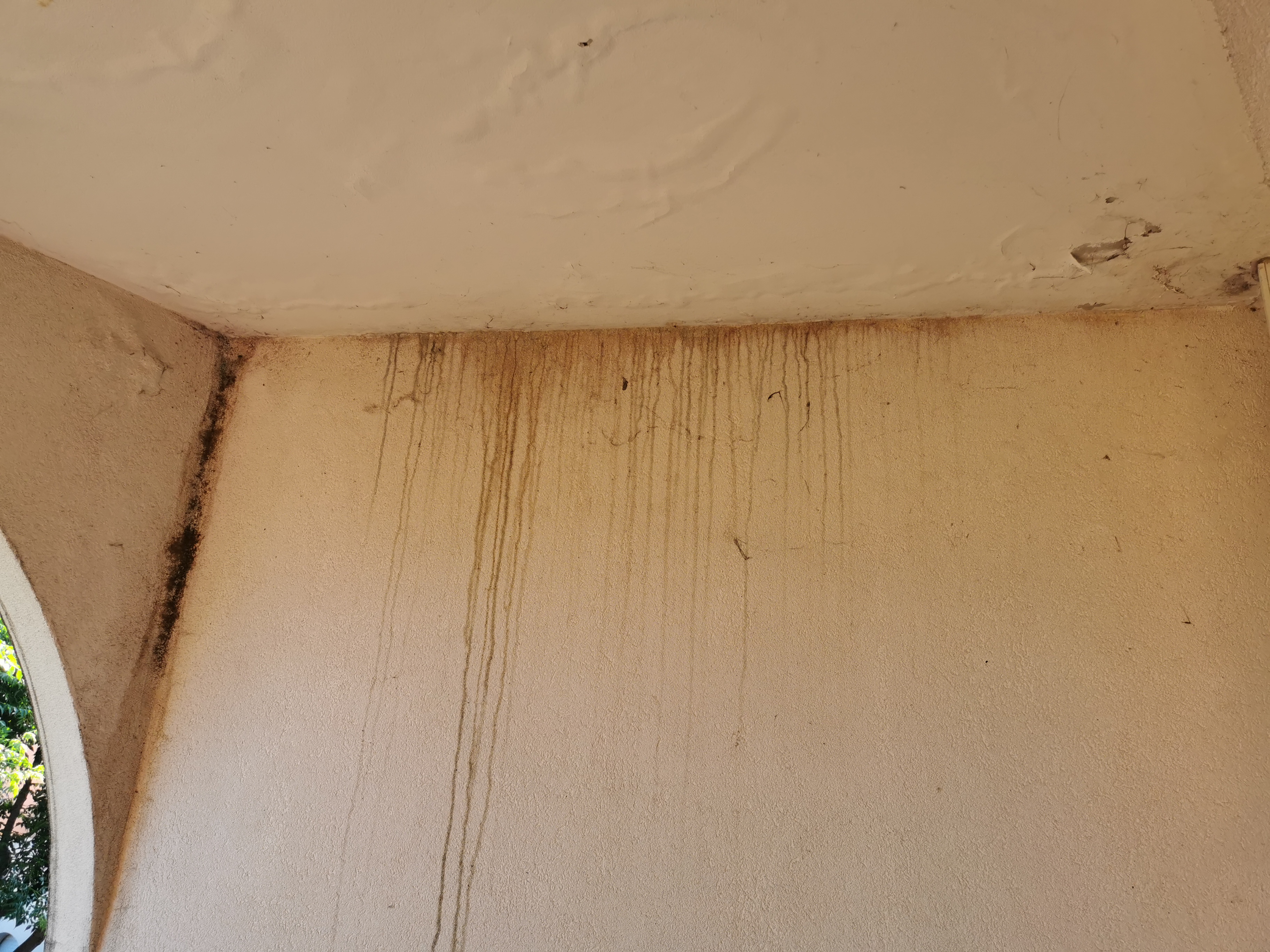 Photo n° 3 de l'avis de Celine. fait le 02/07/2023 à 08:32