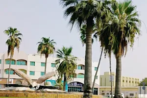 Sadaf Roundabout image