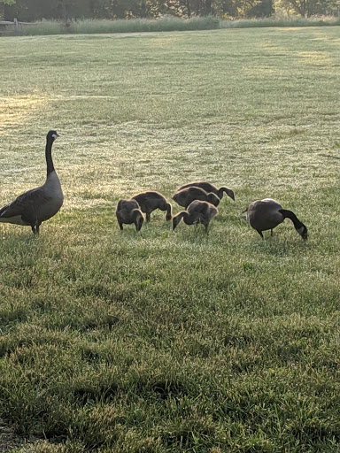 Nature Preserve «Sourland Mountain Preserve», reviews and photos, 421 E Mountain Rd, Hillsborough Township, NJ 08844, USA