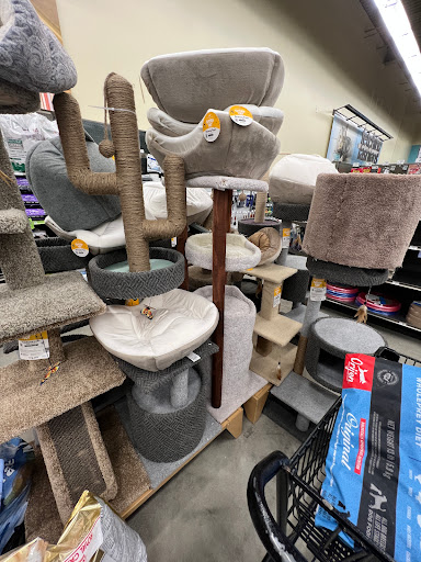 Pet Supply Store «Petco Animal Supplies», reviews and photos, 3551 W Hillsboro Blvd, Deerfield Beach, FL 33442, USA