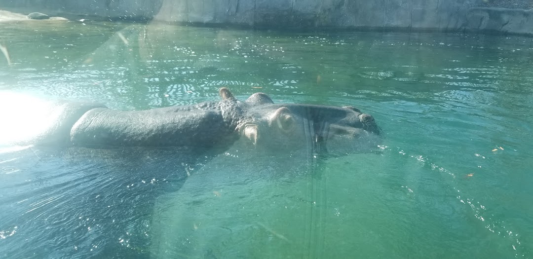 Hippoquarium