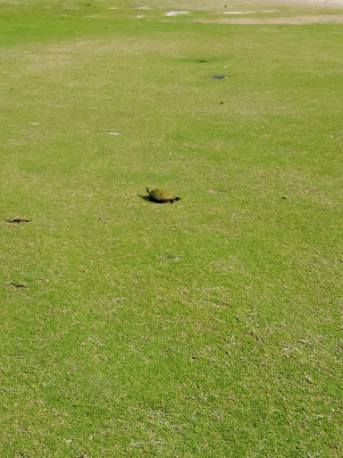 Golf Course «Lost Key Golf Club», reviews and photos, 625 Lost Key Dr, Pensacola, FL 32507, USA