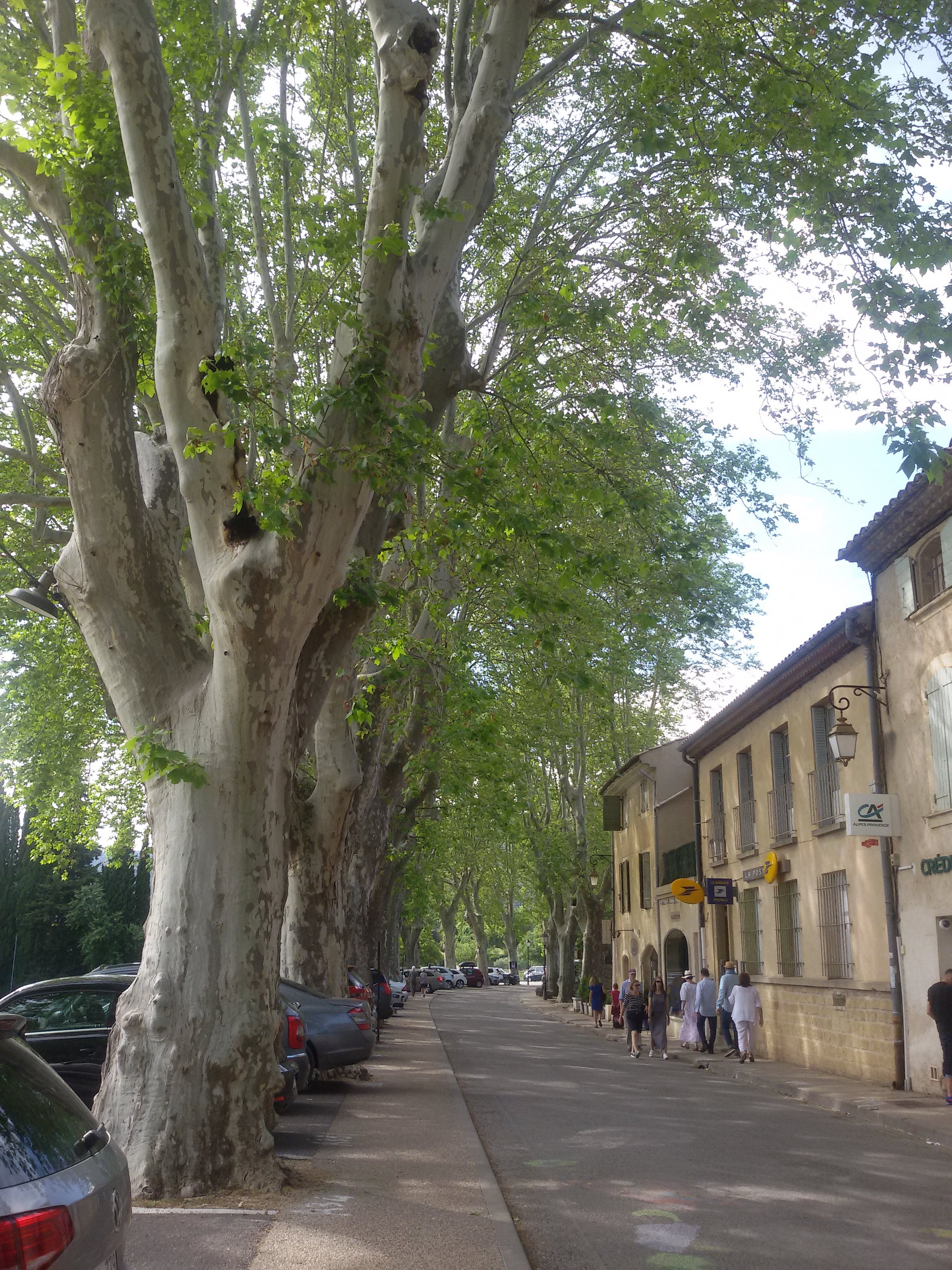 Photo n° 2 de l'avis de Virginie.u fait le 13/06/2019 à 19:54