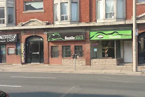 The Reptile Store image