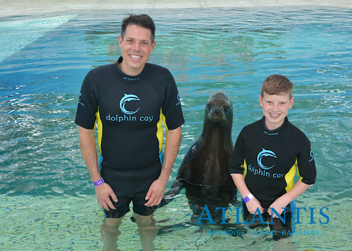 Travel Agency «First Discount Travel», reviews and photos, 4828 Cooper Rd, Cincinnati, OH 45242, USA