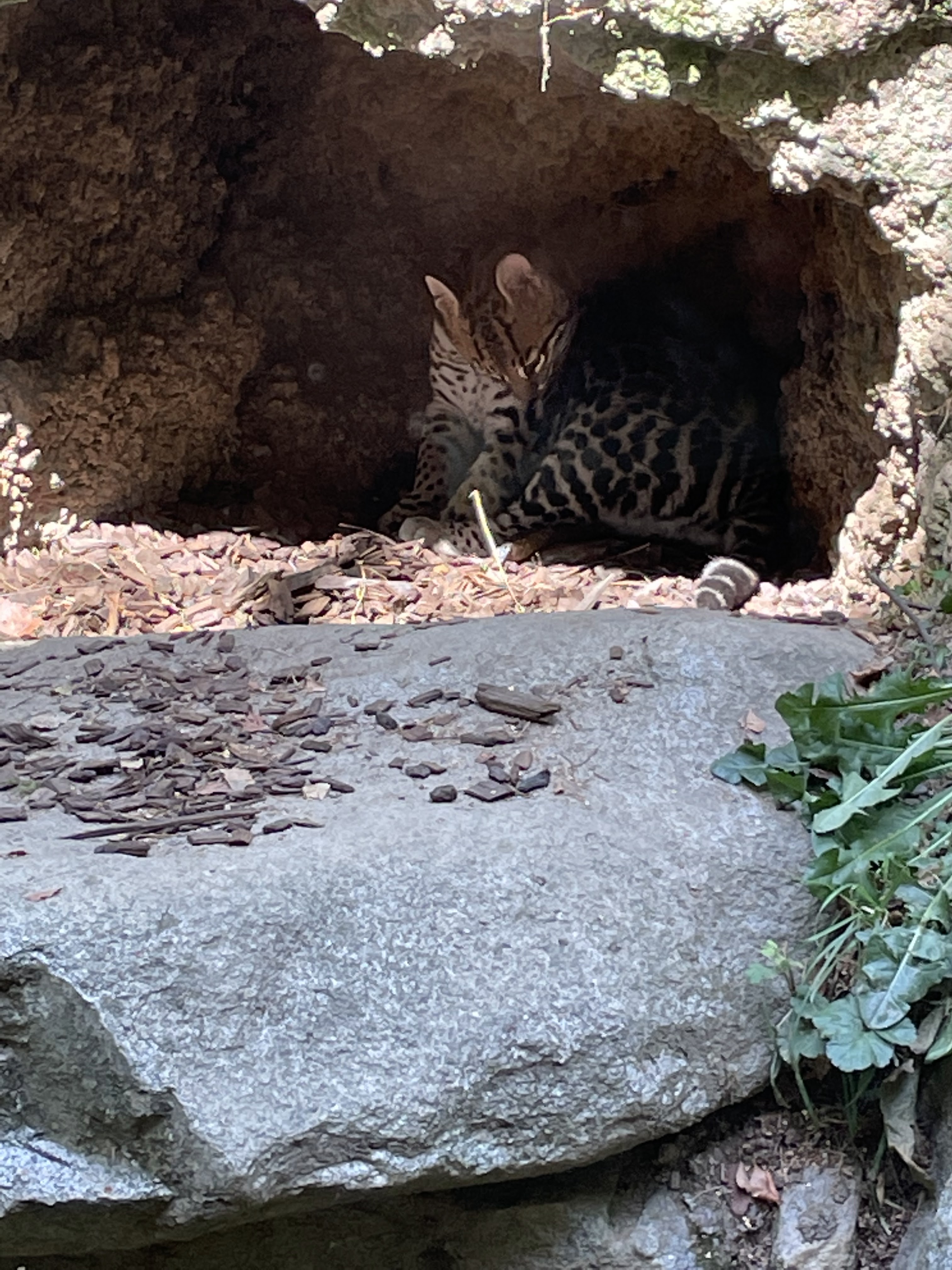 Photo n° 7 de l'avis de La.i fait le 25/08/2022 à 14:34