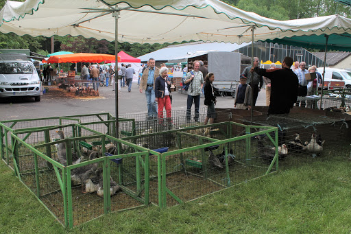 Small animal market Kommern in Mill Park unter Mechernich, 
