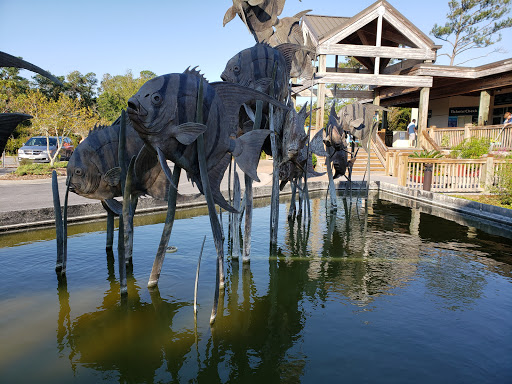 Aquarium «North Carolina Aquarium at Pine Knoll Shores», reviews and photos, 1 Roosevelt Blvd, Pine Knoll Shores, NC 28512, USA