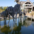 North Carolina Aquarium at Pine Knoll Shores