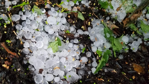 Park «Vermijo Park», reviews and photos, 2601 W Vermijo Ave, Colorado Springs, CO 80904, USA