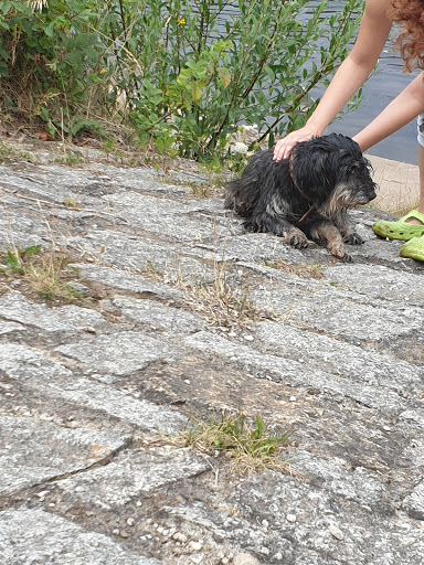 Dr.med.vet. Iris Gregorius vet unter Bernburg, Sachsen-Anhalt