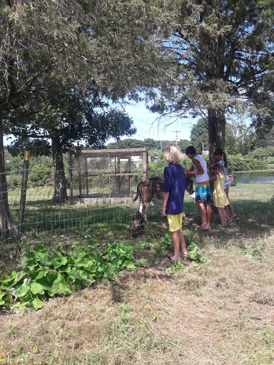 Farm «Russell Orchards», reviews and photos, 143 Argilla Rd, Ipswich, MA 01938, USA