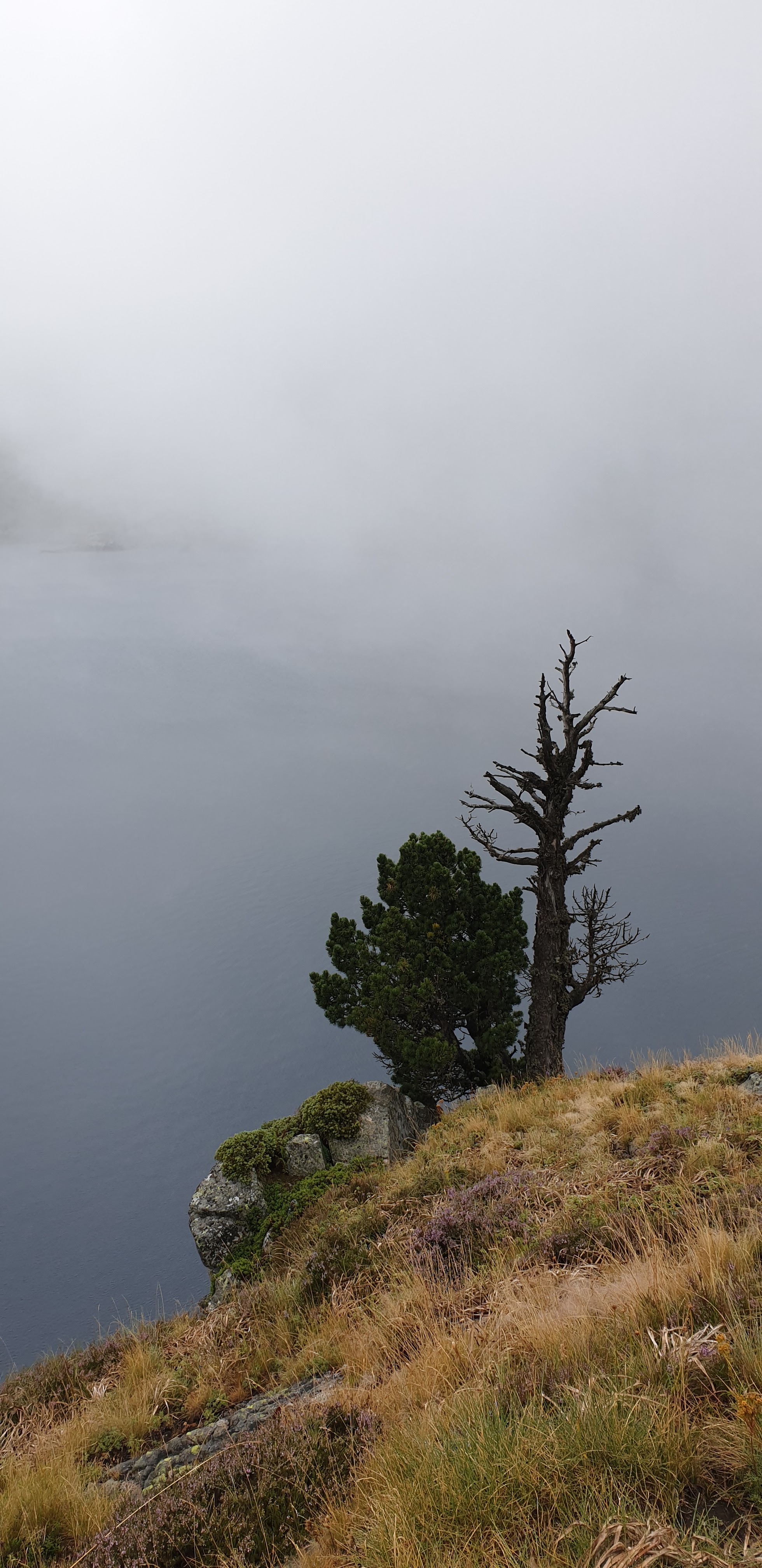 Photo n° 5 de l'avis de Jen. fait le 12/08/2019 à 21:47