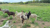 Parc à chèvres Guyancourt
