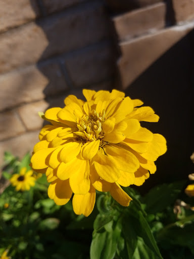 Funeral Home «Avenidas Cremation & Burial», reviews and photos, 1376 W St Mary’s Rd, Tucson, AZ 85745, USA