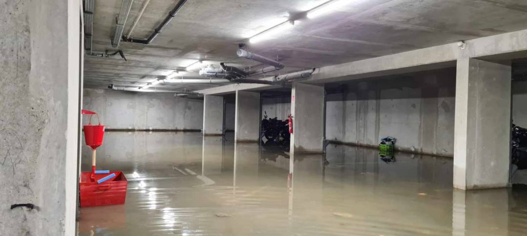 Photo n° 11 de l'avis de Didier.L fait le 25/11/2022 à 19:19