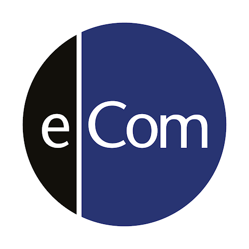 eCom Learning Solutions - Website designer