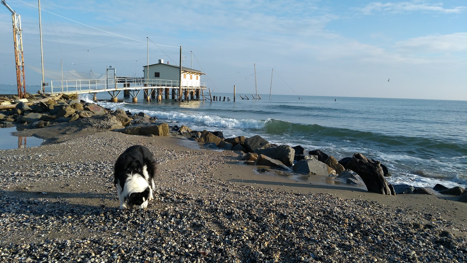 Foto von Spiaggia della Salicornia di Lido di Dante - beliebter Ort unter Entspannungskennern