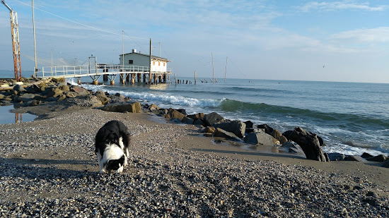 Spiaggia della Salicornia di Lido di Dante