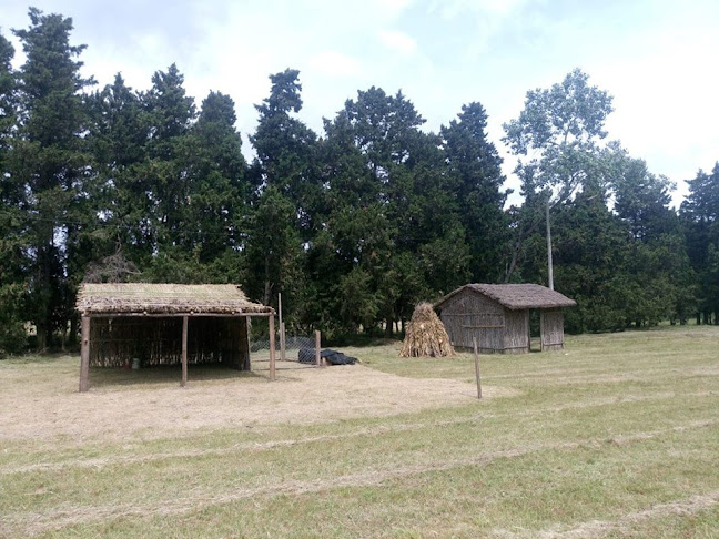 Centro Educativo Rural San Jacinto - Escuela