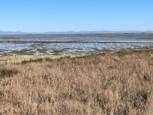 Sears Point Trail
