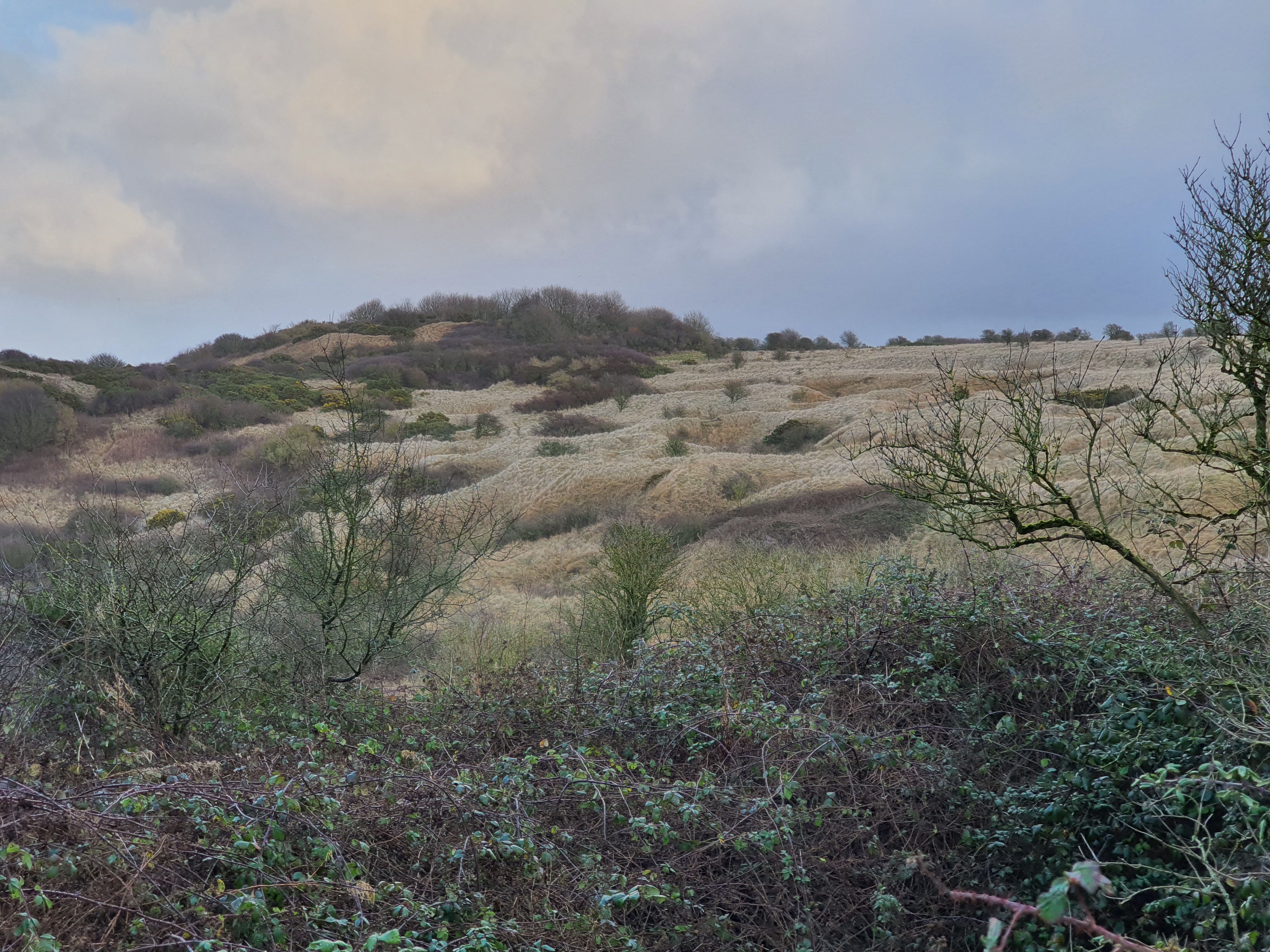 Photo n° 5 de l'avis de Fra. fait le 19/01/2020 à 16:53