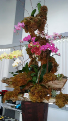 Florist «Flowers and Services», reviews and photos, 13750 Biscayne Blvd, North Miami Beach, FL 33181, USA