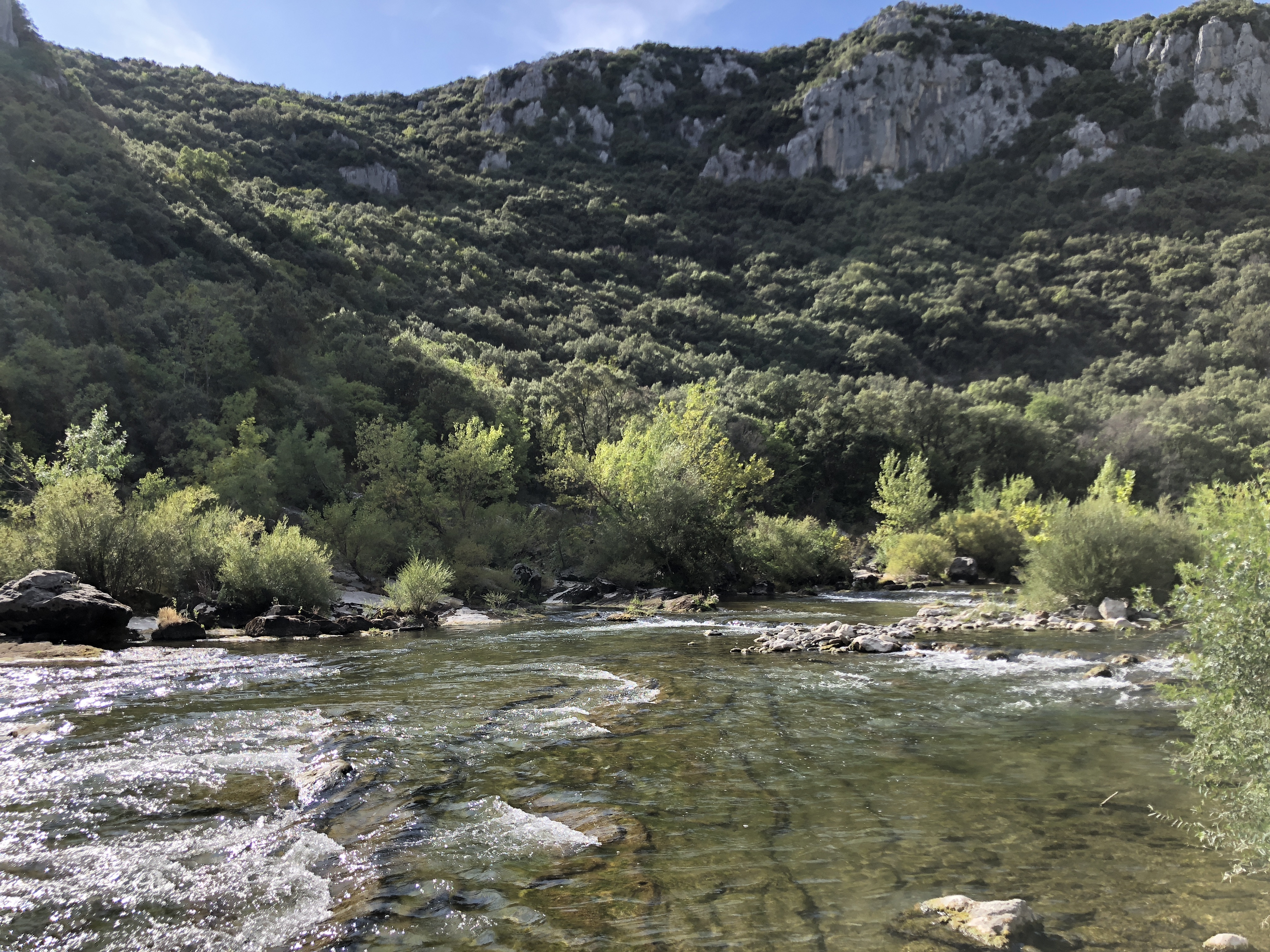 Photo n° 5 de l'avis de Allan.e fait le 31/10/2019 à 14:58