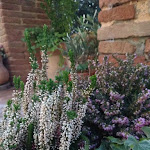 Photo n°2 de l'avis de Leonardo.c fait le 02/12/2018 à 21:18 sur le  Il Pozzo Di Ferri à Montenovo