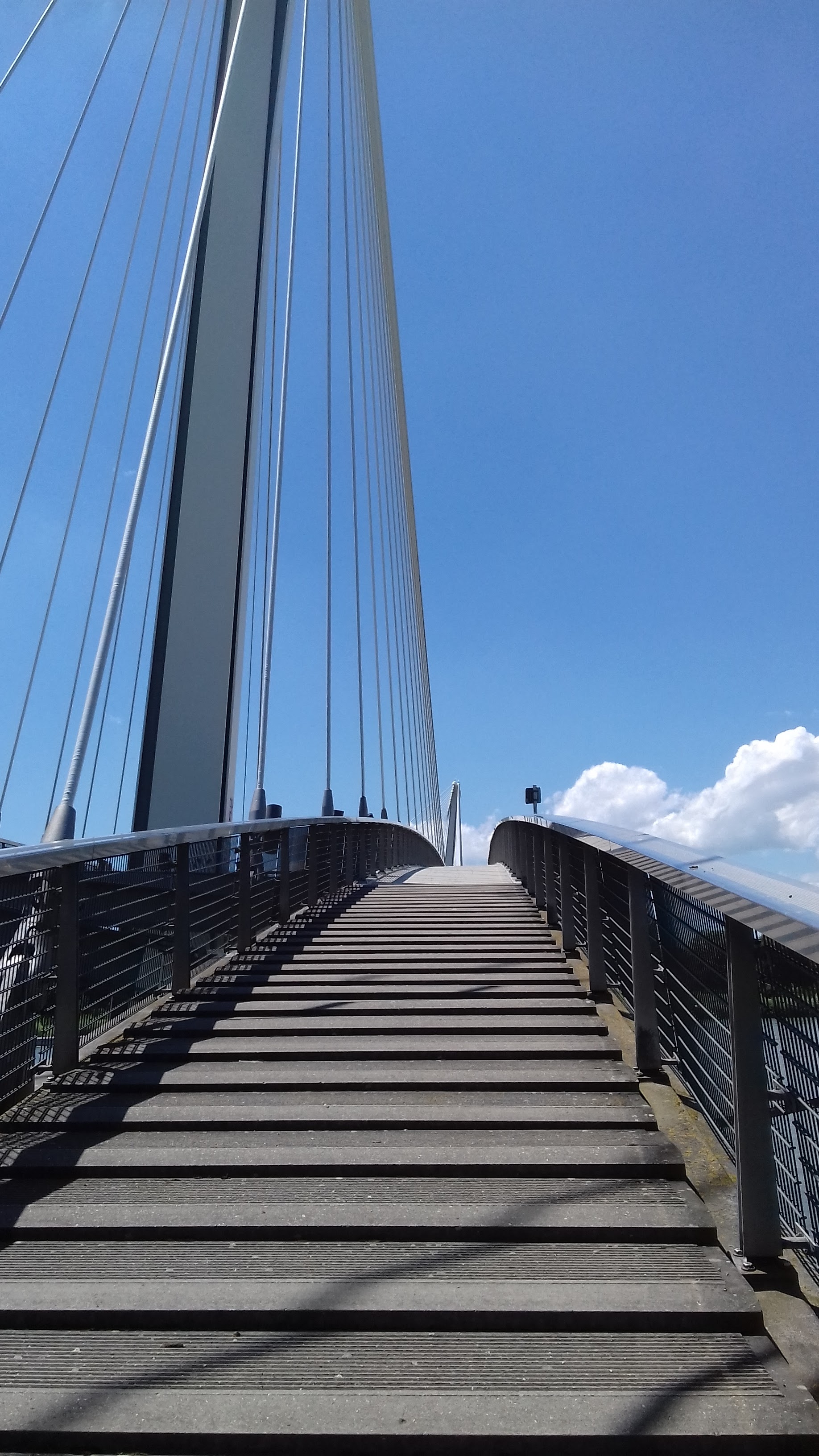 Photo n° 3 de l'avis de Isalys.o fait le 05/07/2019 à 13:00