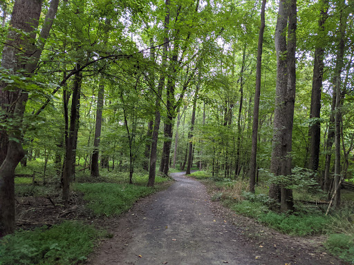 Park «Poplar Tree Park», reviews and photos, 4718 Stringfellow Rd, Fairfax, VA 22030, USA