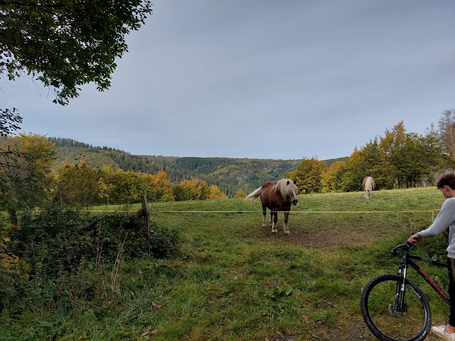 Reacties en beoordelingen van MTB-Guide-Eifel