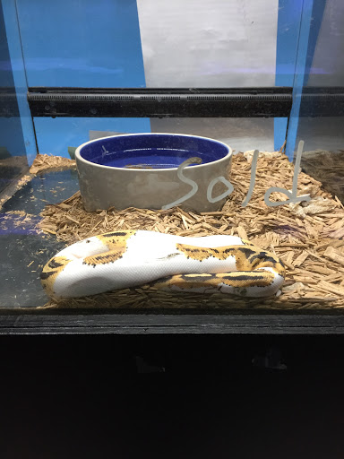 Pet Store «Inland Reef Pet Store», reviews and photos, 817 Cross Lanes Dr, Cross Lanes, WV 25313, USA