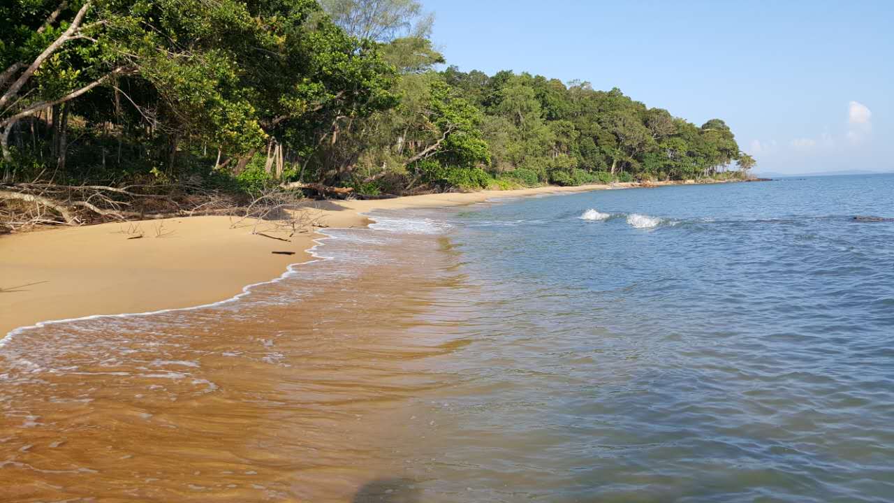 Foto av Lady's Headland med rymlig strand