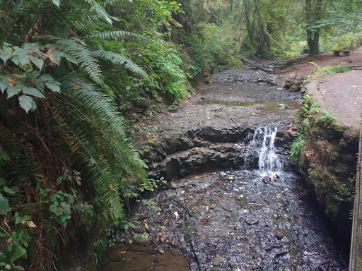 Park «MacLeay Park Entrance», reviews and photos, 2960 NW Upshur St, Portland, OR 97210, USA