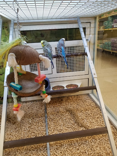 Pet Supply Store «PetSmart», reviews and photos, 4013 Wisconsin 28, Kohler, WI 53081, USA