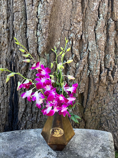 Florist «East Hampton Florist», reviews and photos, 69 N Main St, East Hampton, NY 11937, USA