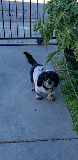 Pet Supply Store «Petco Animal Supplies», reviews and photos, 7308 Alameda St, Walnut Park, CA 90255, USA