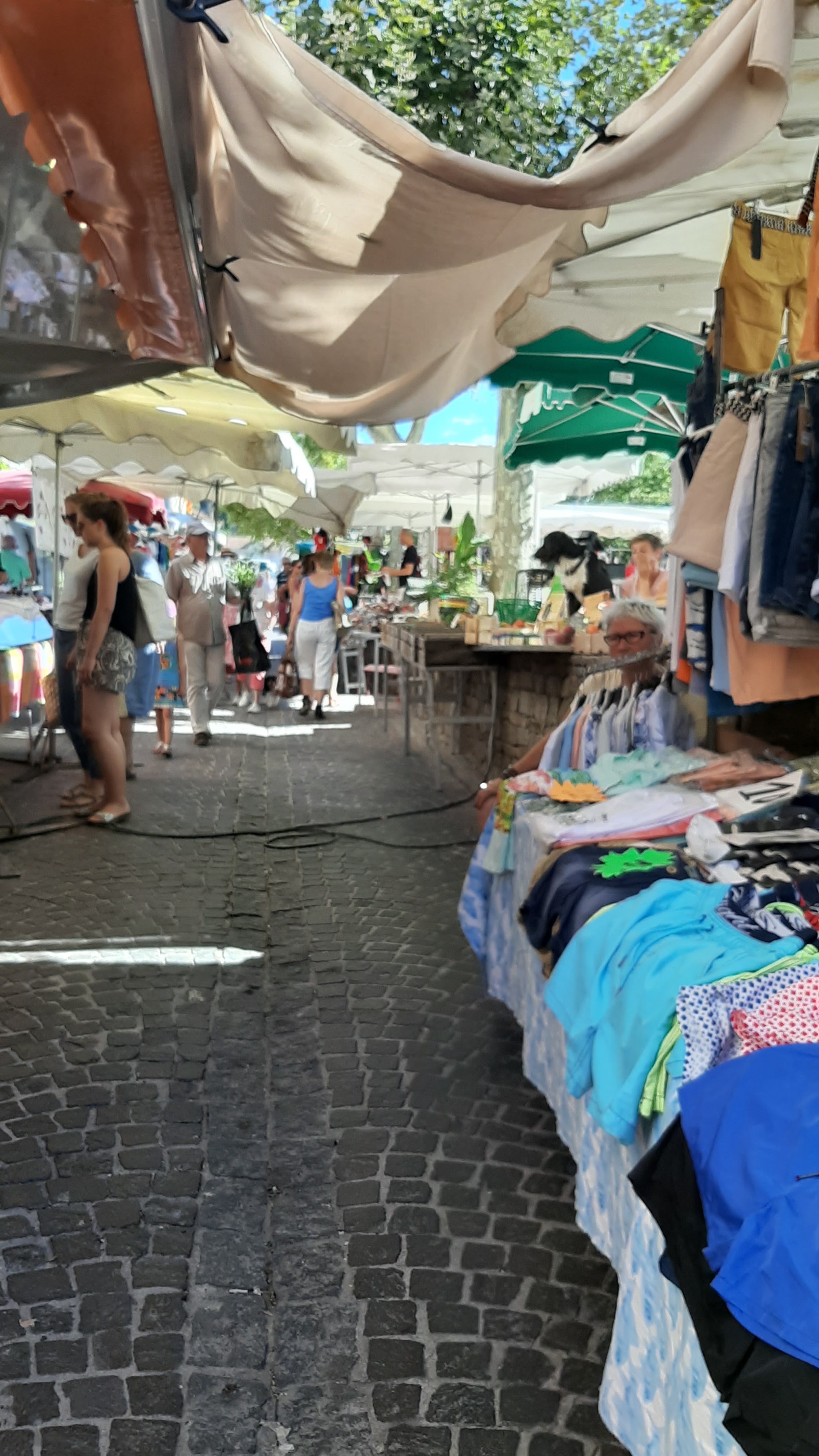 Photo n° 1 de l'avis de Margotte.c fait le 15/08/2019 à 11:10