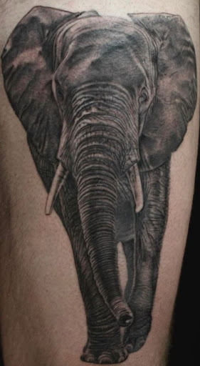 Find buck tattoo ideas for your next unique tattoo in Mesa at Ranger Tattoo & Piercing